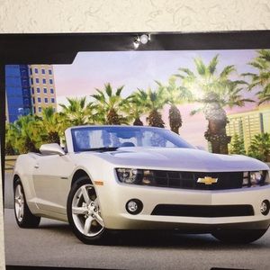 Meet your Posher, Dani